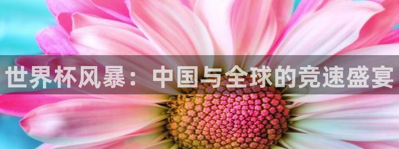 世界杯欧洲区预选赛：世界杯风暴：中国与全球的竞速盛宴