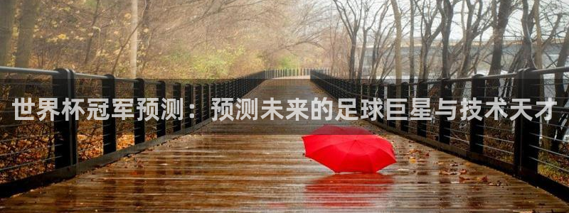 2026世界杯：世界杯冠军预测：预测未来的足球巨星与技术天才