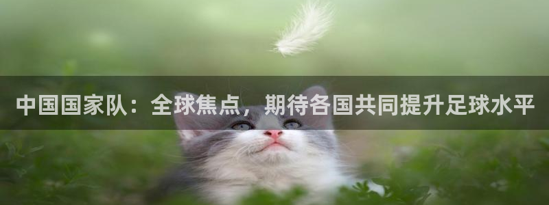 世界杯对阵图2026：中国国家队：全球焦点，期待各国共同提升足球水平
