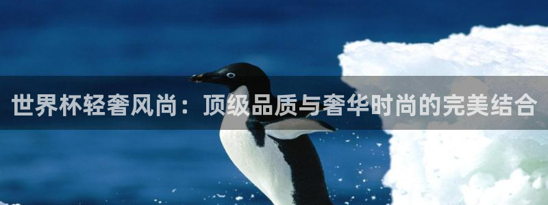 看世界杯：世界杯轻奢风尚：顶级品质与奢华时尚的完美结合