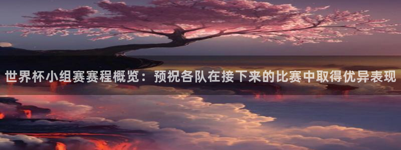 预选赛世界杯：世界杯小组赛赛程概览：预祝各队在接下来的比赛中取得优异表现