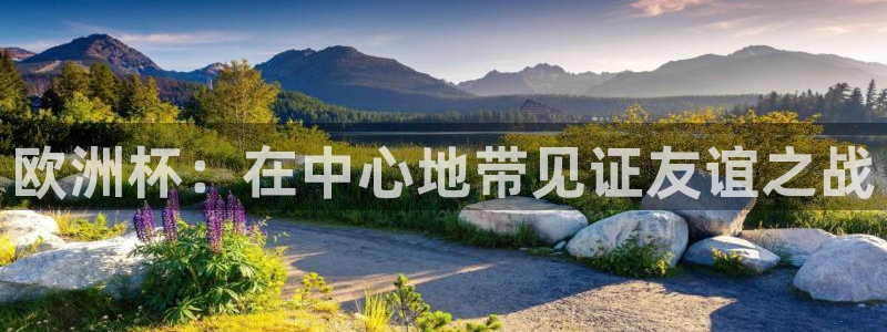 2026世界杯赛程：欧洲杯：在中心地带见证友谊之战