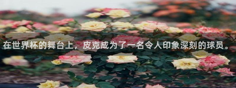 世界杯直播时间：在世界杯的舞台上，皮克成为了一名令人印象深刻的球员。