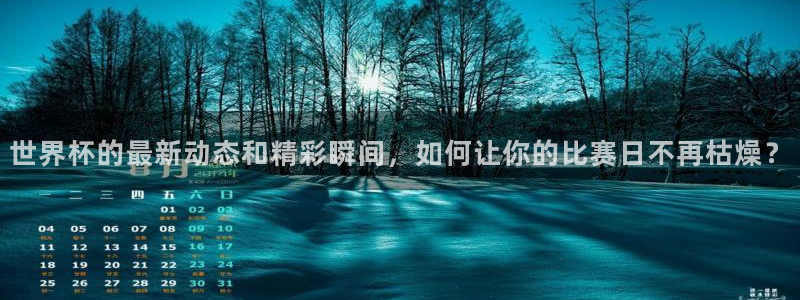2026世界杯：世界杯的最新动态和精彩瞬间，如何让你的比赛日不再枯燥？