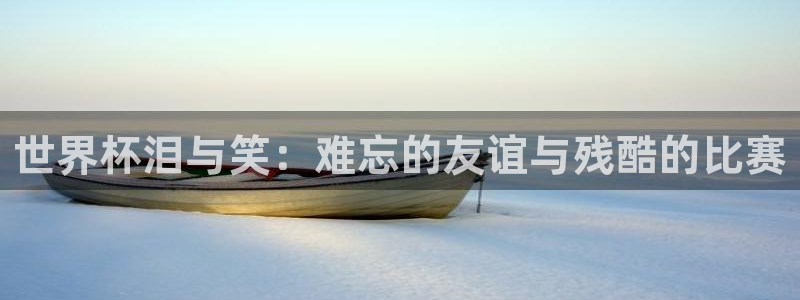 2026世界杯中国队：世界杯泪与笑：难忘的友谊与残酷的比赛