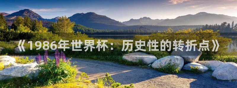 世界杯小组赛赛程:《1986年世界杯:历史性的转折点》