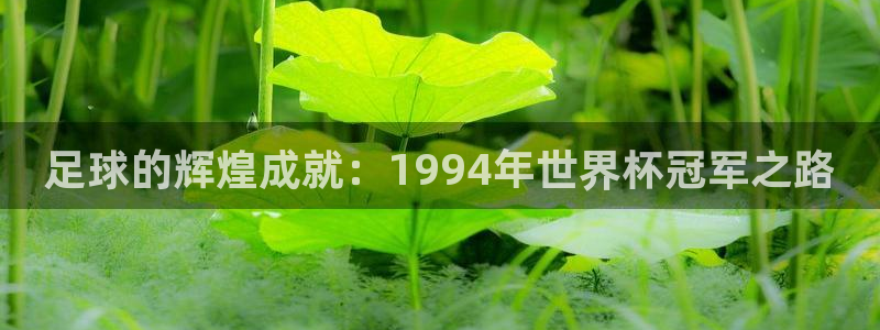 世界杯球赛：足球的辉煌成就：1994年世界杯冠军之路