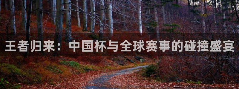 世界杯直播观看：王者归来：中国杯与全球赛事的碰撞盛宴