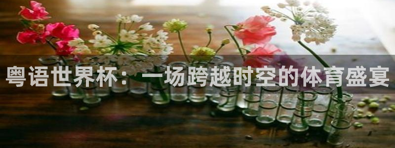 2026世界杯官网：粤语世界杯：一场跨越时空的体育盛宴