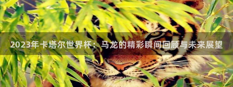 世界杯足球赛2026：2023年卡塔尔世界杯：马龙的精彩瞬间回顾与未来展望