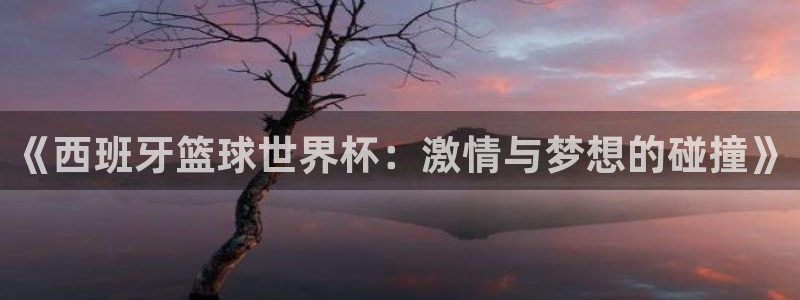 世界杯直播观看：《西班牙篮球世界杯：激情与梦想的碰撞》