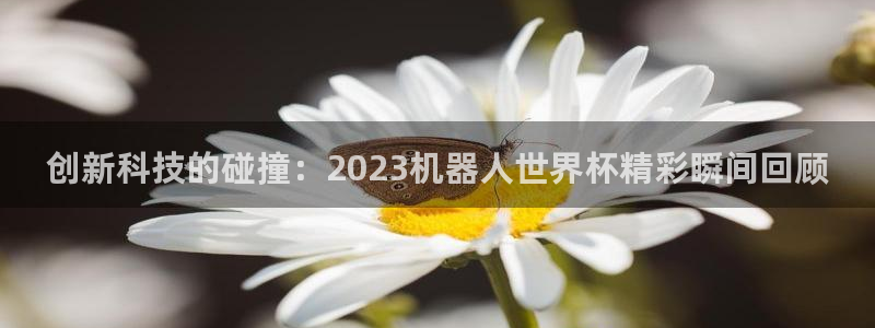 欧洲世界杯预选赛：创新科技的碰撞：2023机器人世界杯精彩瞬间回顾