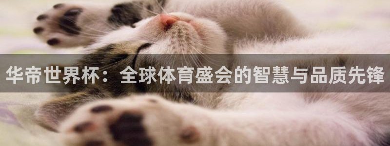 世界杯预选赛亚洲：华帝世界杯：全球体育盛会的智慧与品质先锋