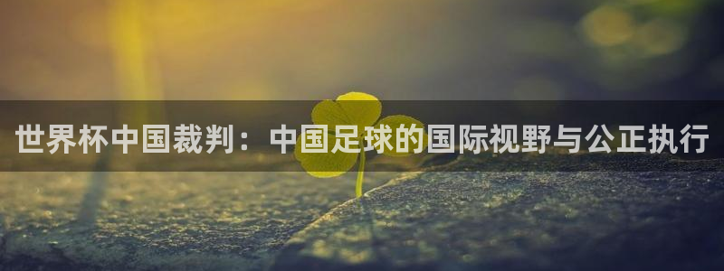 2026世界杯日期：世界杯中国裁判：中国足球的国际视野与公正执行